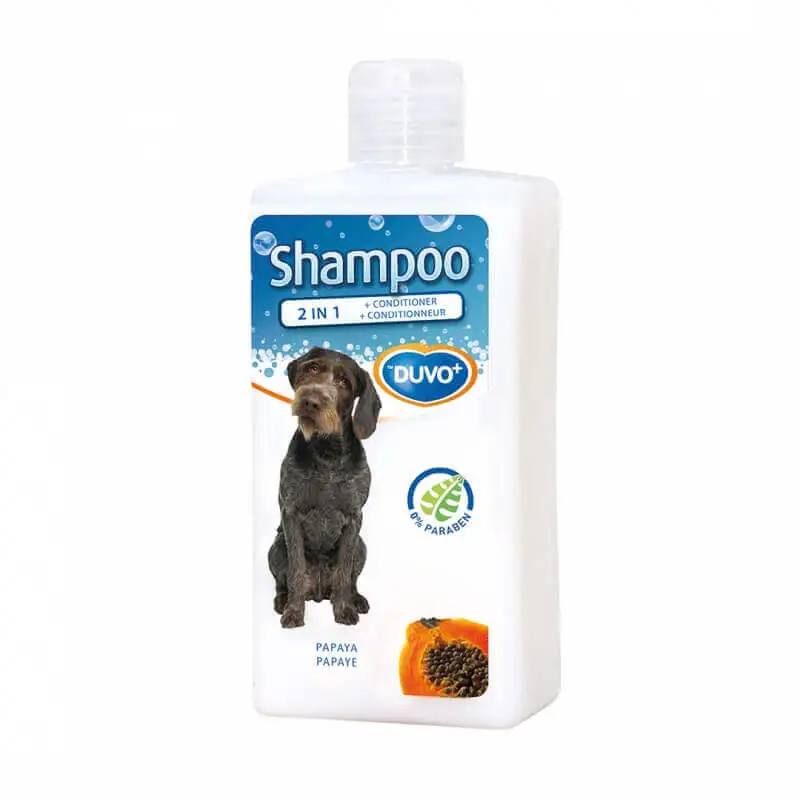 2 in 1 shampoo duvo