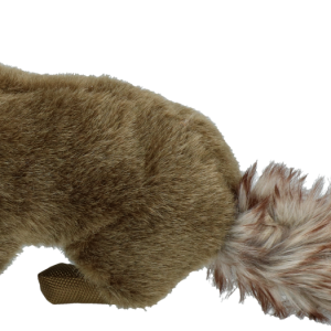 Wild Life Dog Marten