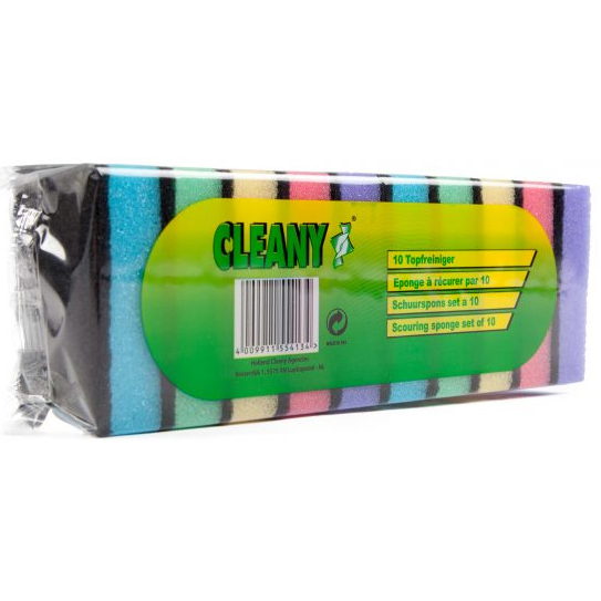 Schuurspons – 10 Stuks/ Pak