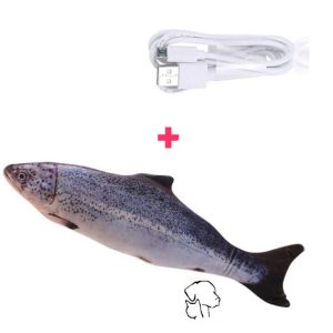 Bewegende zalm met catnip.