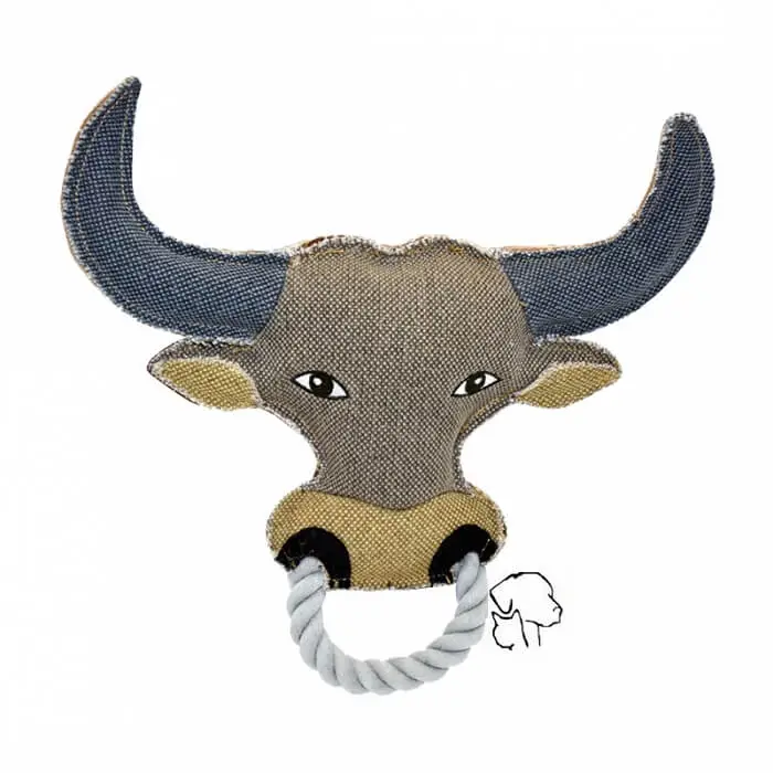 Canvas stier