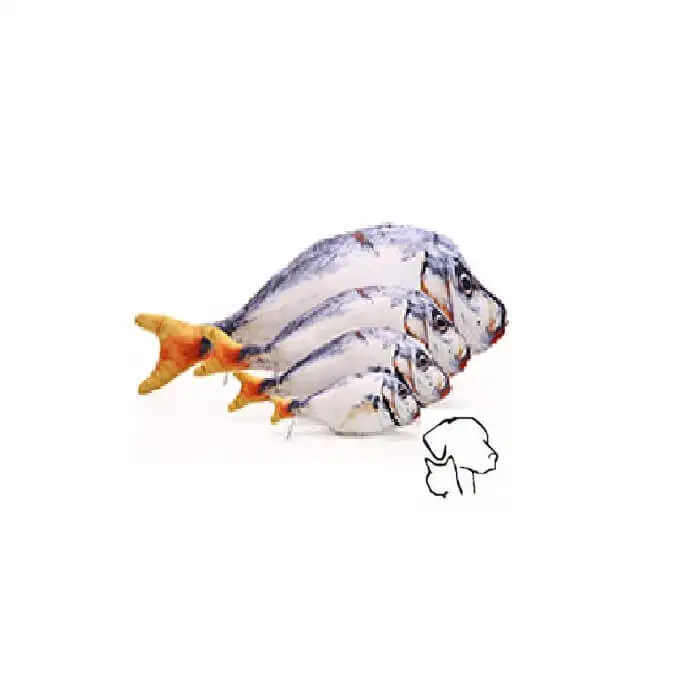Clownvis met catnip. 20cm